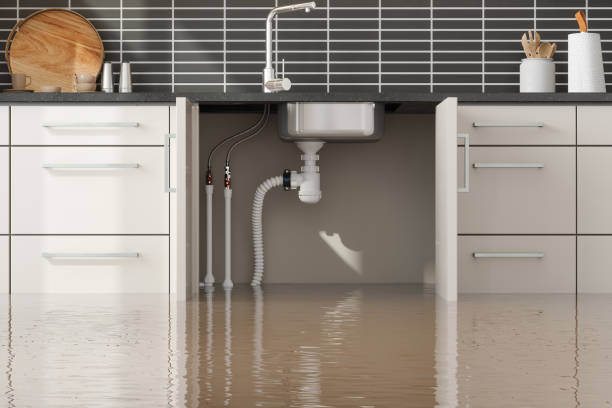 Best Sewage cleanup and water damage restoration  in Harper Woods, MI