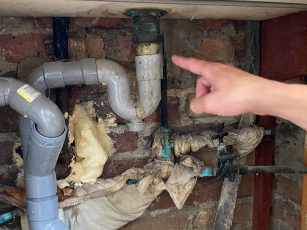 Best Fire Damage Restoration  in Harper Woods, MI